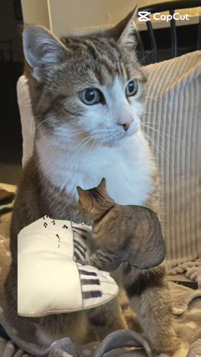 Pour toi ma douce chamie @[Câline](pet:345804) adorée, bizouilloux tout doux de nous deux ❤️ 🥰 ❤️